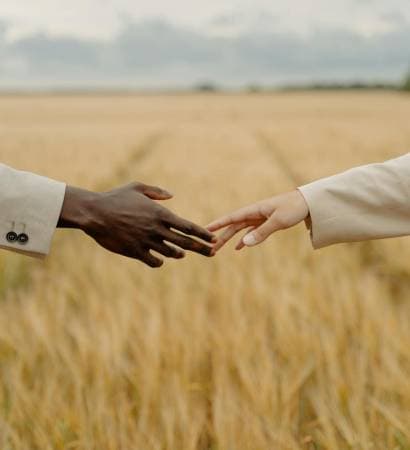Hands in wheat field